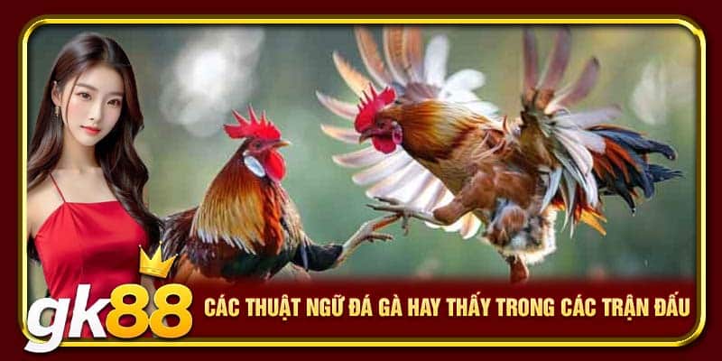 Các thuật ngữ đá gà hay thấy trong các trận đấu 