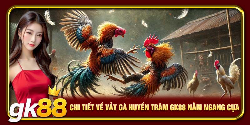 Chi tiết về vảy gà huyền trâm nằm ngang cựa