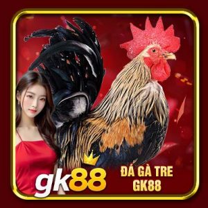 Đá Gà Tre GK88 | Tiết Lộ Cách Chọn Gà Chiến Giúp Sư Kê Thắng Đậm