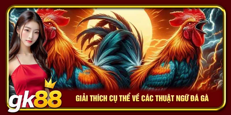 Giải thích cụ thể về các thuật ngữ đá gà