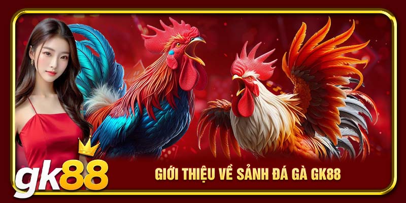 Giới thiệu về sảnh đá gà GK88
