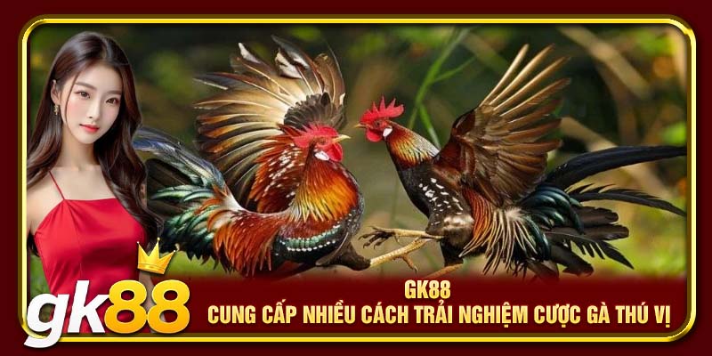 GK88 cung cấp nhiều cách trải nghiệm cược gà thú vị