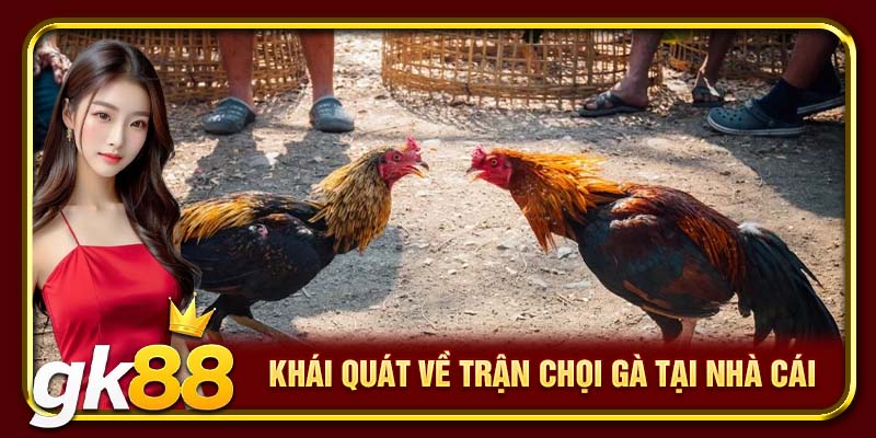 Khái quát về trận chọi gà tại nhà cái