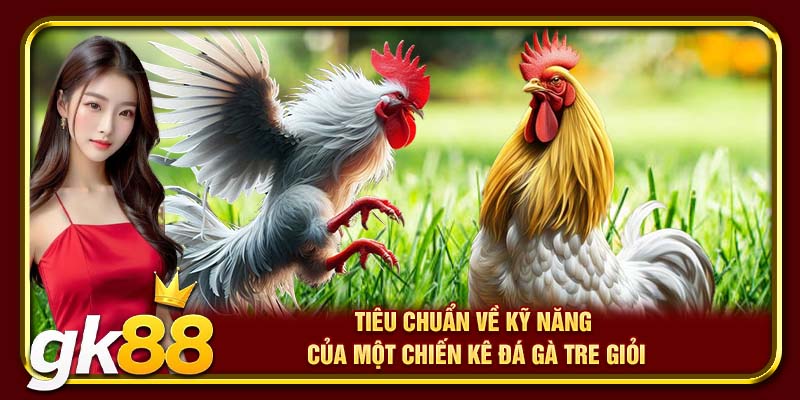 Tiêu chuẩn về kỹ năng của một chiến kê đá gà tre giỏi