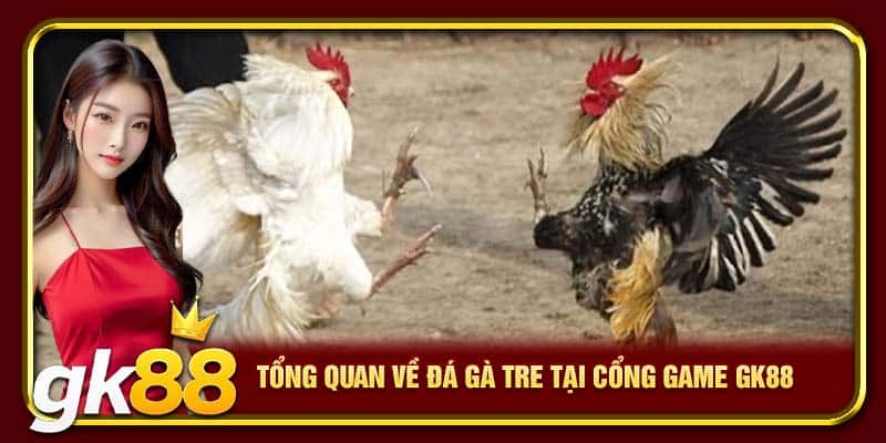 Tổng quan về đá gà tre tại cổng game GK88