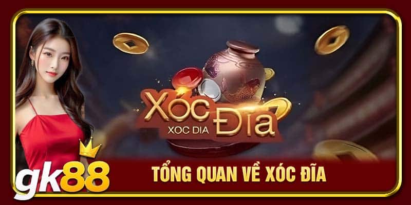 Tổng quan về xóc đĩa 