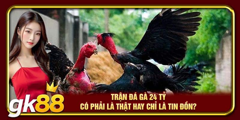 Trận đá gà 24 tỷ có phải là thật hay chỉ là tin đồn?