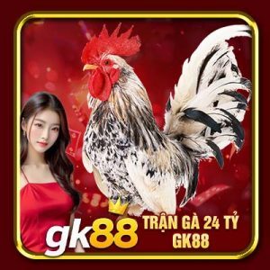Trận Gà 24 Tỷ GK88 | Cuộc Đối Đầu Kinh Điển Vang Danh Sới Gà