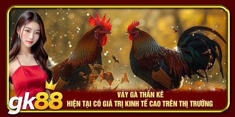 Vảy gà thần kê hiện tại có giá trị kinh tế cao trên thị trường